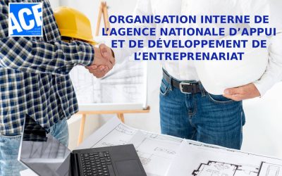 ORGANISATION INTERNE DE L’AGENCE NATIONALE D’APPUI ET DE DÉVELOPPEMENT DE L’ENTREPRENEURIAT